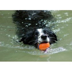 CHUCKIT BOLDE - FLERE STRRELSER