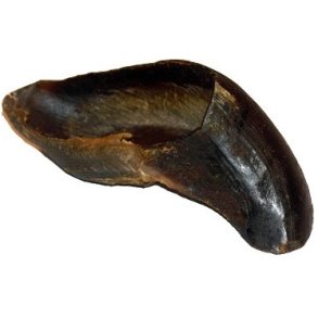 OKSEKLOVE FRA WHESCO - 5 STK.