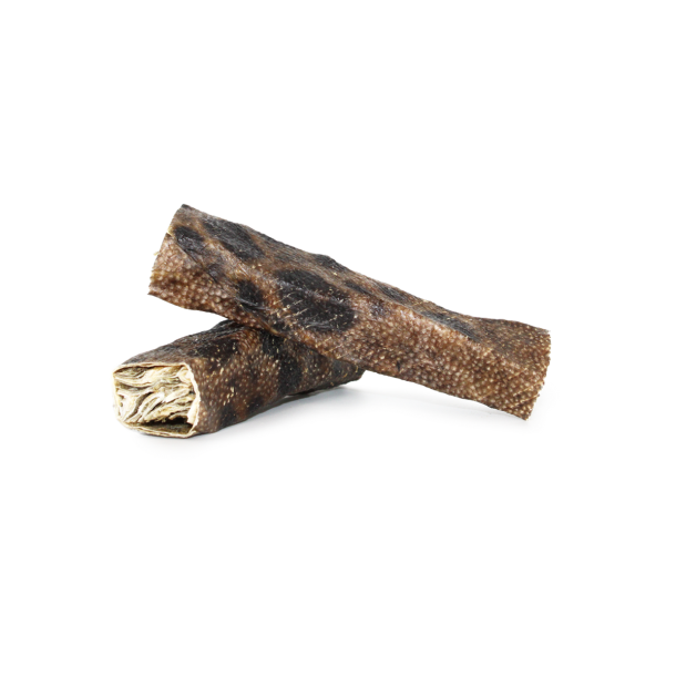 GUNNIS PET - STOR TYGGESTANG AF REN HAVKATSKIND FRA ISLAND