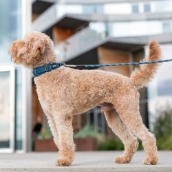 EXPLORER HALSBND FRA DOG COPENHAGEN