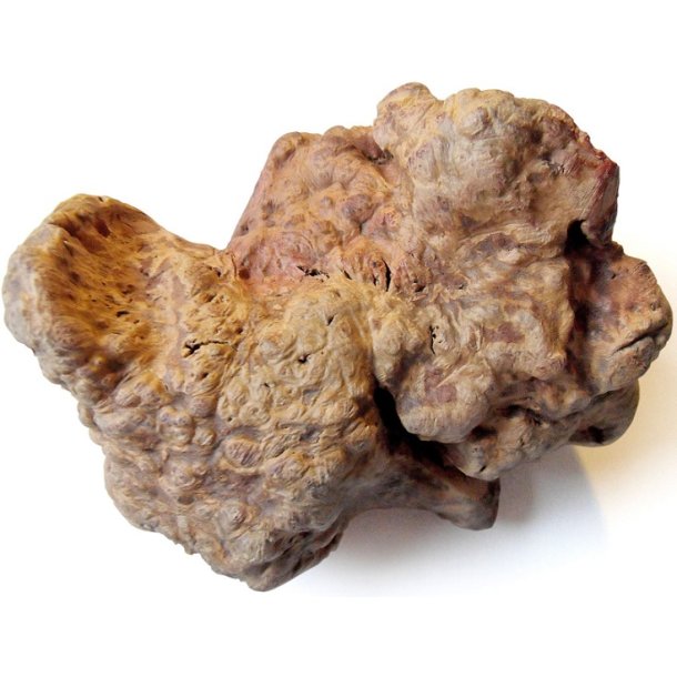 TYGGEBEN AF TRROD FRA WHESCO